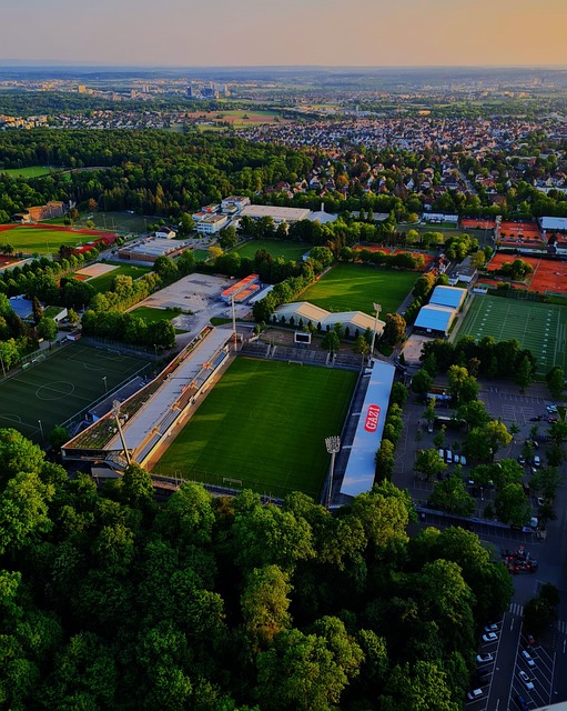 决定了一支 决定了一支