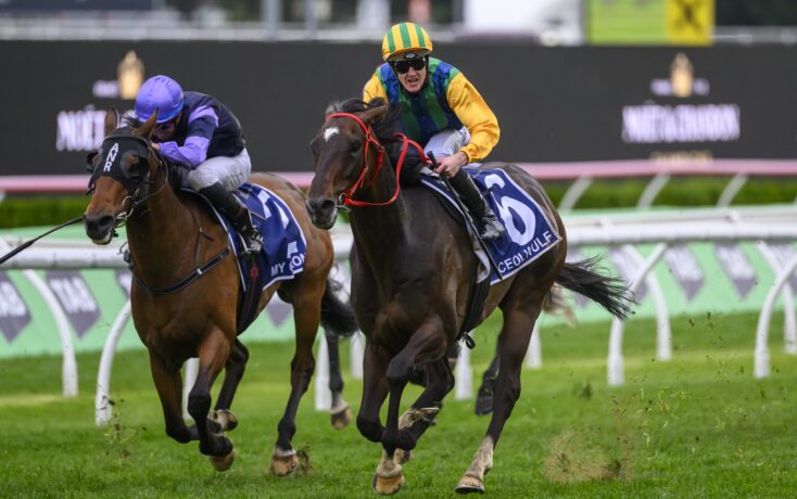 凝聚团队精 凝聚团队精