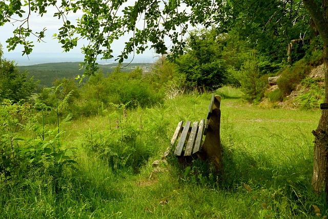 在今年的北 在今年的北