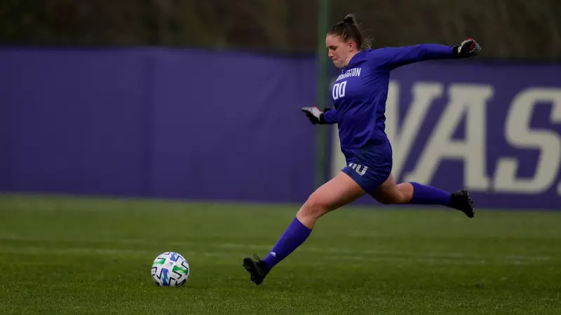 要的案例分 要的案例分